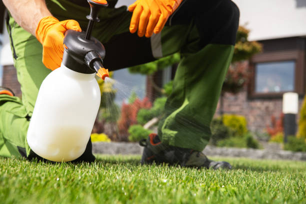 Best Rat Extermination Near Me  in Manorville, NY