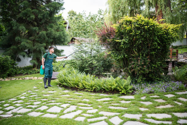 Best Emergency Pest Control  in Manorville, NY