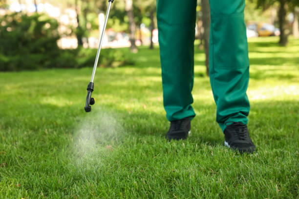 Best Flea Control Services  in Manorville, NY