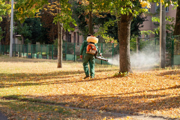 Best Pest Control Treatment  in Manorville, NY