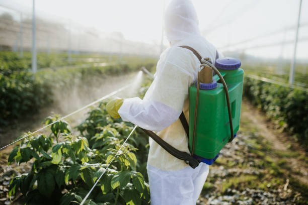 Professional Pest Control in Manorville, NY